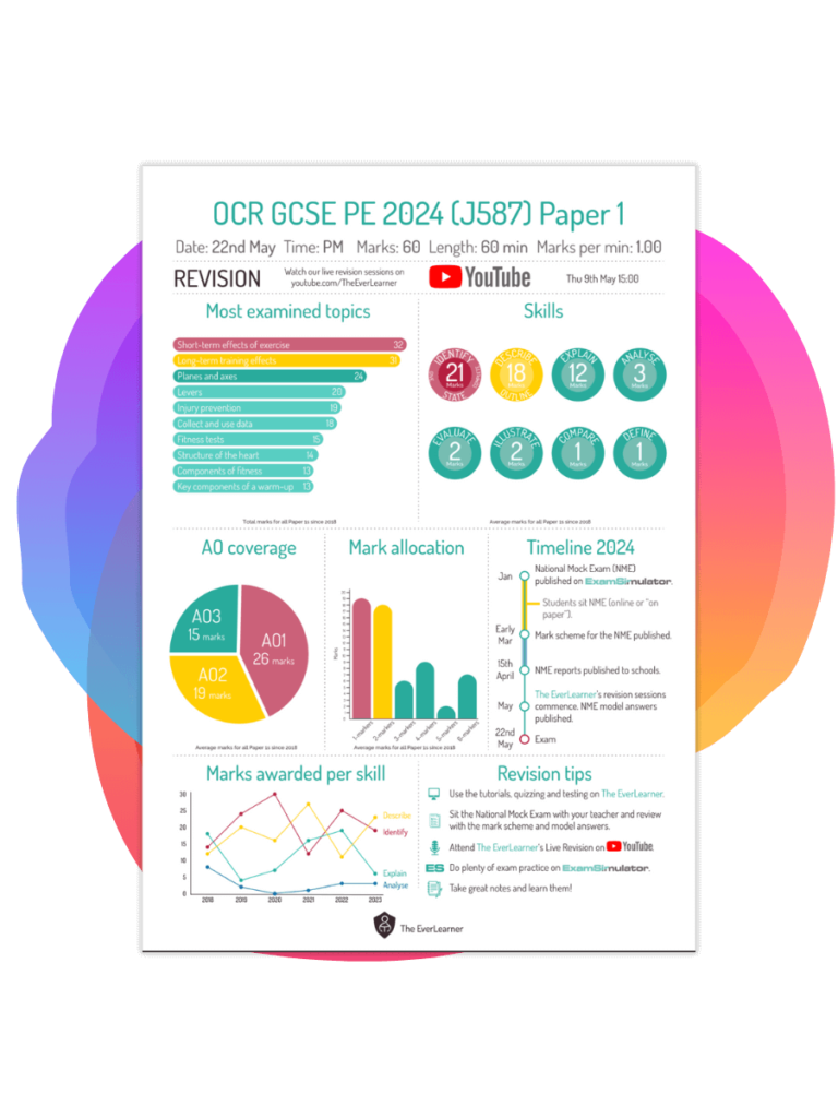Bee Digital - The Everlearner case study - marketing to schools agency
